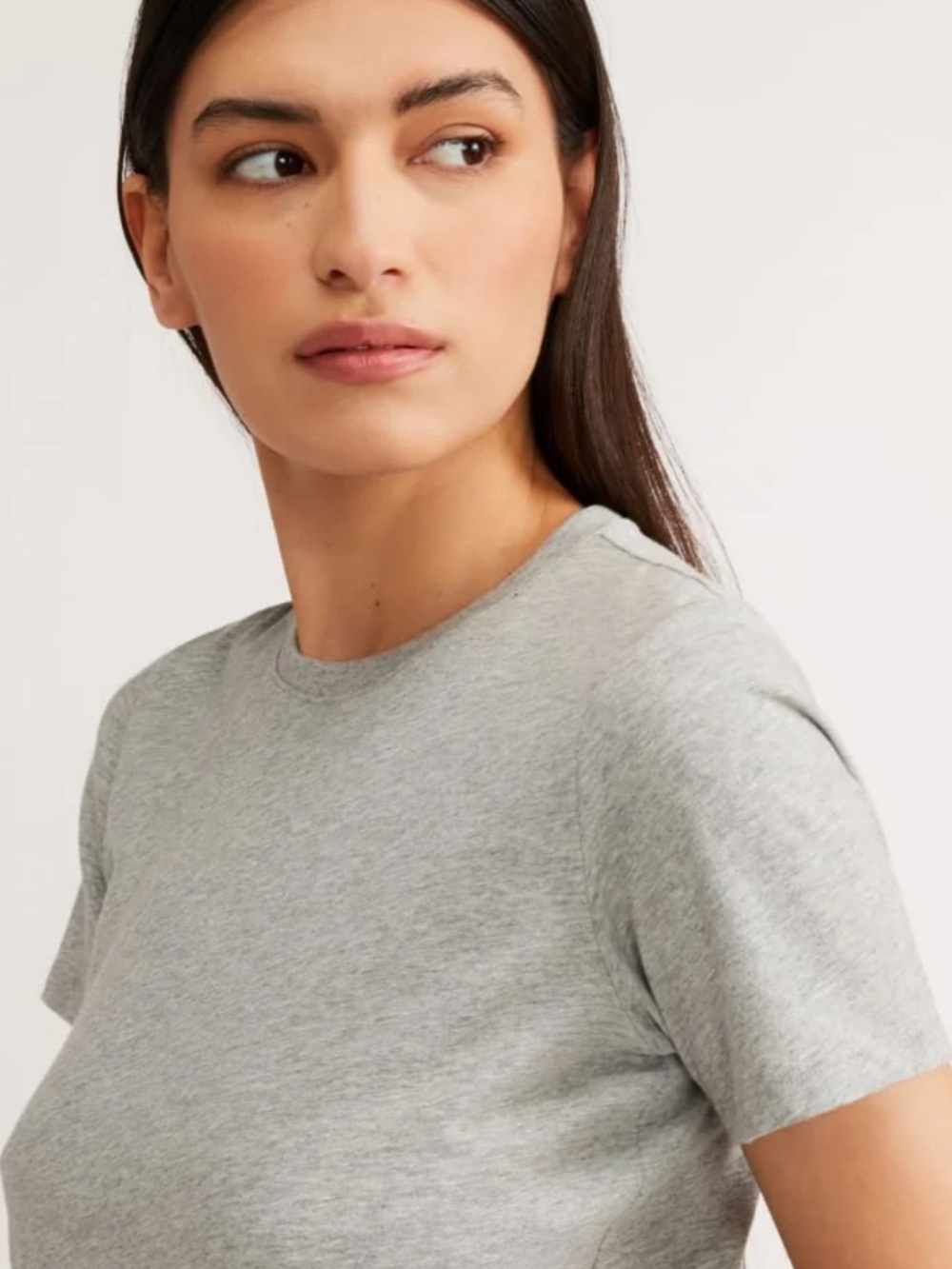 Everlane The Organic Cotton Crew - Heather Grey